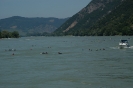 12. Internationales Wachauer Donauschwimmen 2008_87