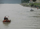 13. Internationales Wachauer Donauschwimmen 2010_15