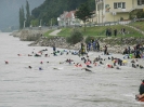 13. Internationales Wachauer Donauschwimmen 2010_18