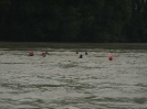 13. Internationales Wachauer Donauschwimmen 2010_21