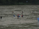 13. Internationales Wachauer Donauschwimmen 2010_28
