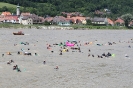 14. Internationales Wachauer Donauschwimmen 2012