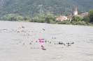 14. Internationales Wachauer Donauschwimmen 2012_76
